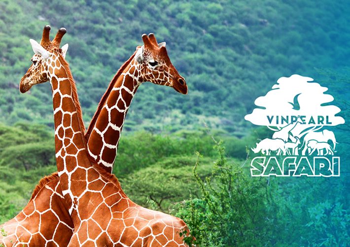 Vinpearl Safari Phú Quốc có gì?
