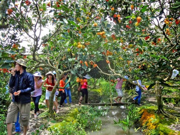 vườn trái cây Trung An